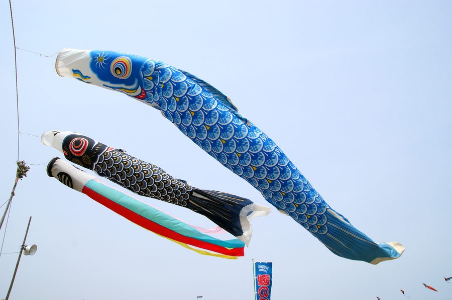 Koinobori carp streamers swimming in the May sky