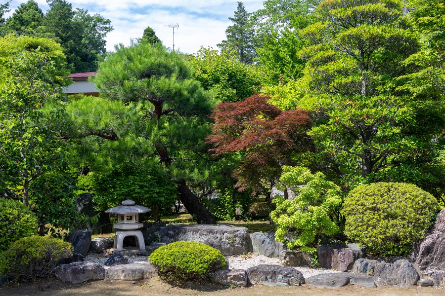 Stone lantern in a Japanese garden in early summer