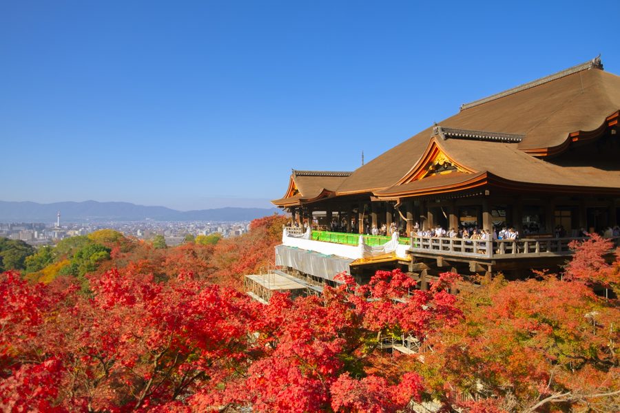 Autumn maples at Kiyomizu-dera, Kyoto