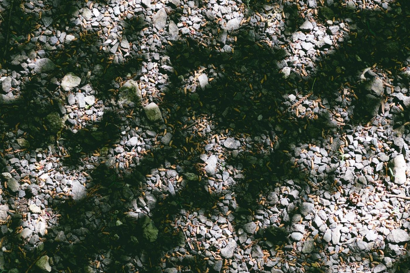 Gray gravel and stones in dappled sunlight