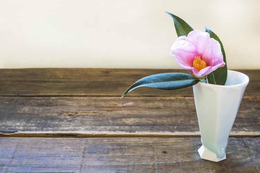 A celadon vase with a camellia