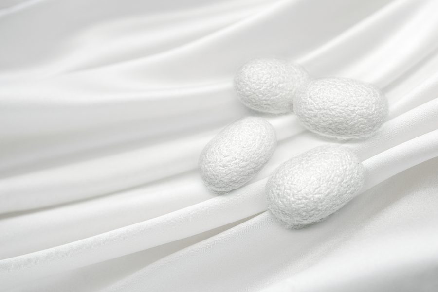 Glossed white silk with cocoons